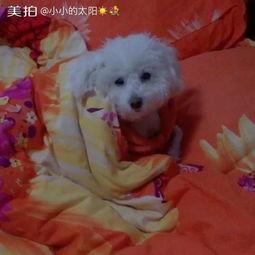 被窝福利宝宝在线视频,温馨在线视频，带你领略亲子时光的美好